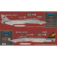 F-14D Super Tomcat BlackLions/Tomcatters 1/48