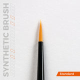 PRECISION BRUSHES SET