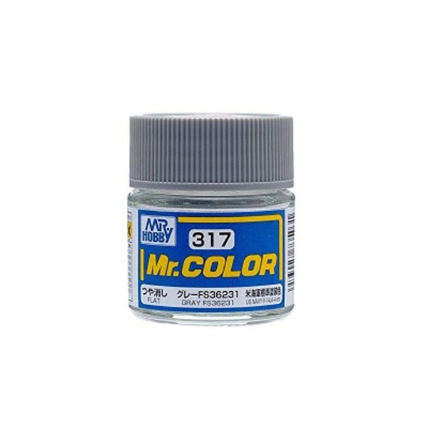 C-317 Mr. Color (10 ml) Gray FS36231