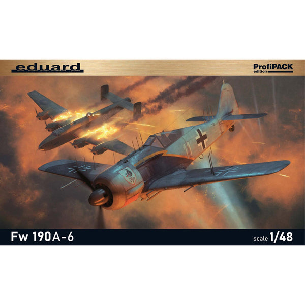 Fw 190A-6 1/48