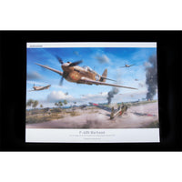P-40N Warhawk Royal Edition 1/48