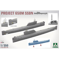 Project 658M SSBN 1/350