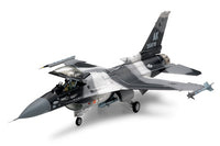 F-16 C/N Aggressor/Adversary 1/48