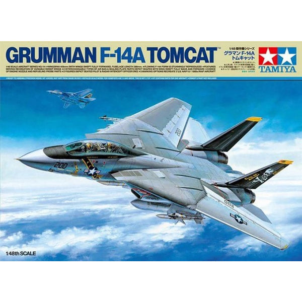 Grumman F-14 A Tomcat 1/48